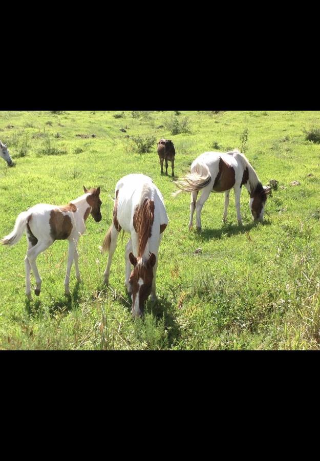 H&R Ranch Resort And Spa Esteli Ngoại thất bức ảnh